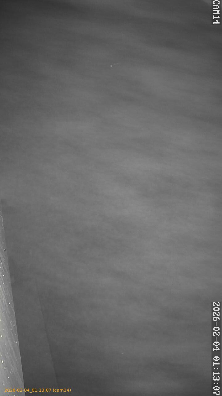 thumbnail_20260204011307