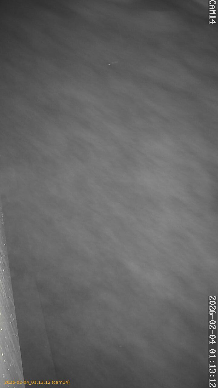 thumbnail_20260204011312