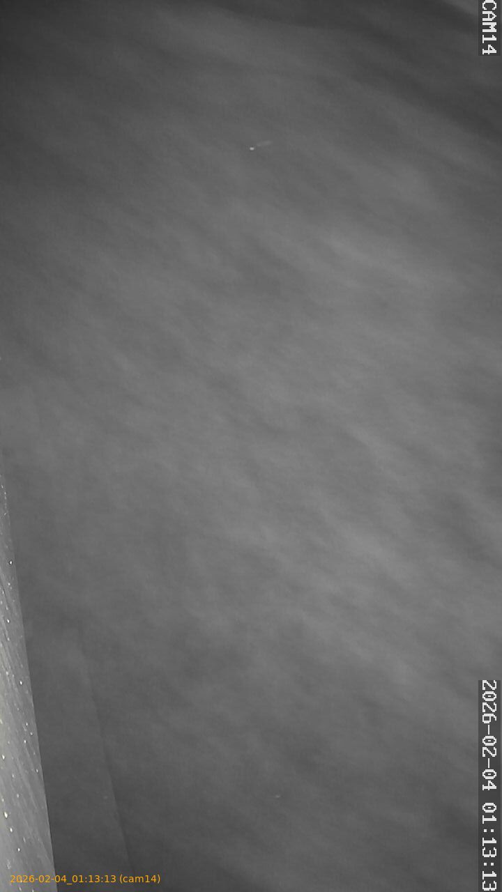 thumbnail_20260204011313