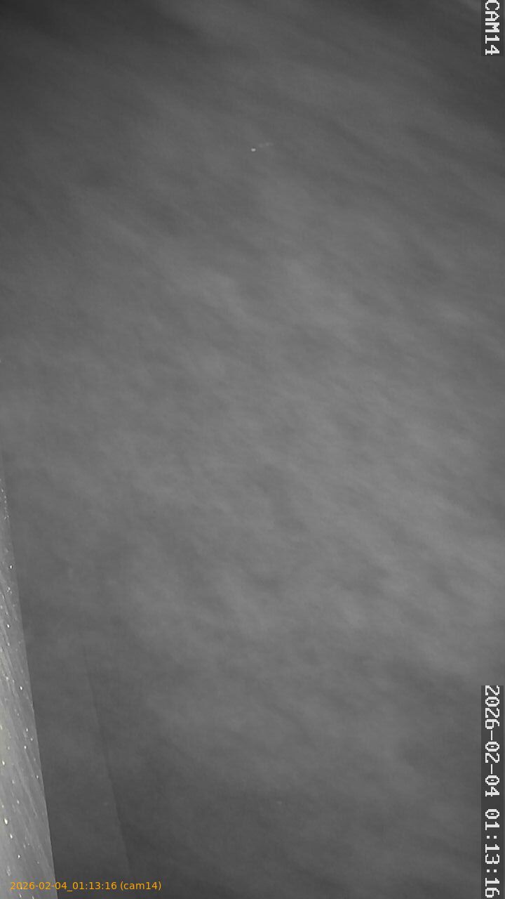 thumbnail_20260204011316