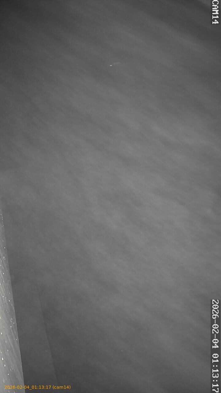 thumbnail_20260204011317