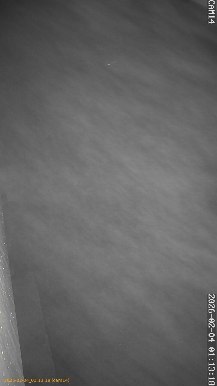 thumbnail_20260204011318