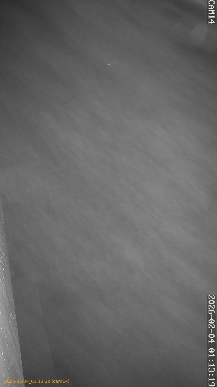 thumbnail_20260204011320