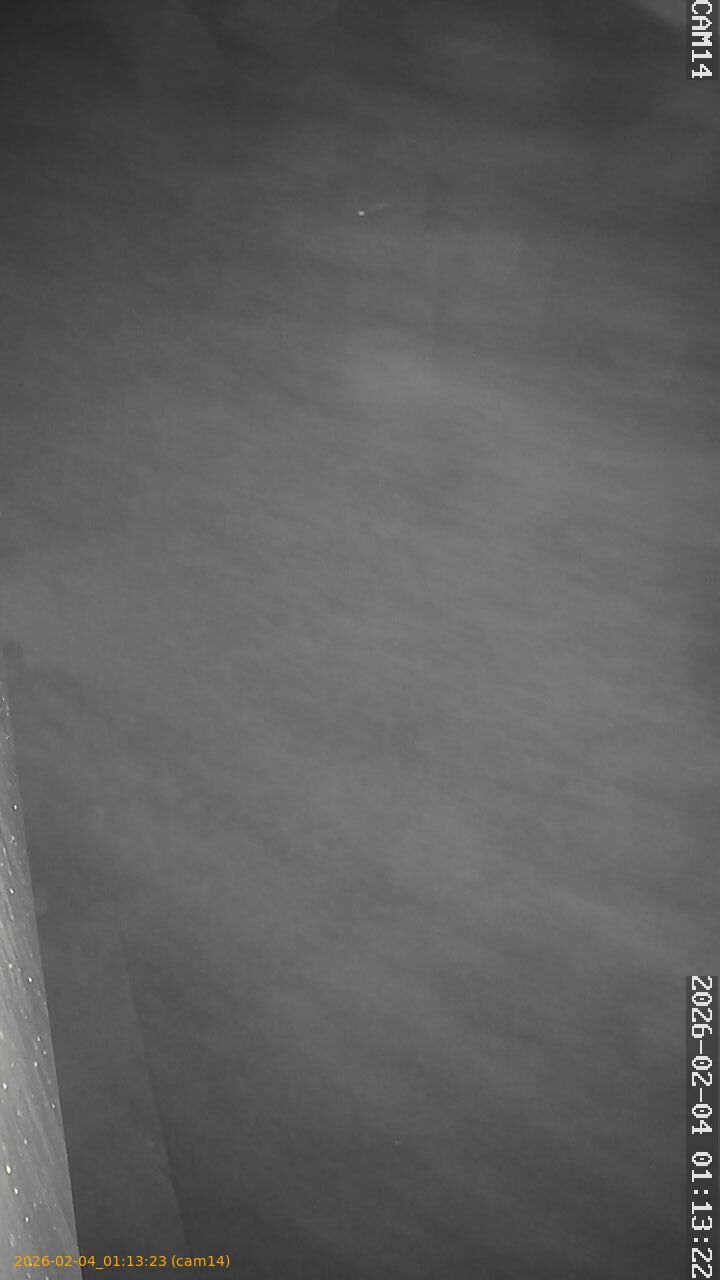 thumbnail_20260204011323