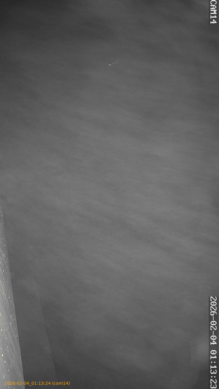 thumbnail_20260204011324