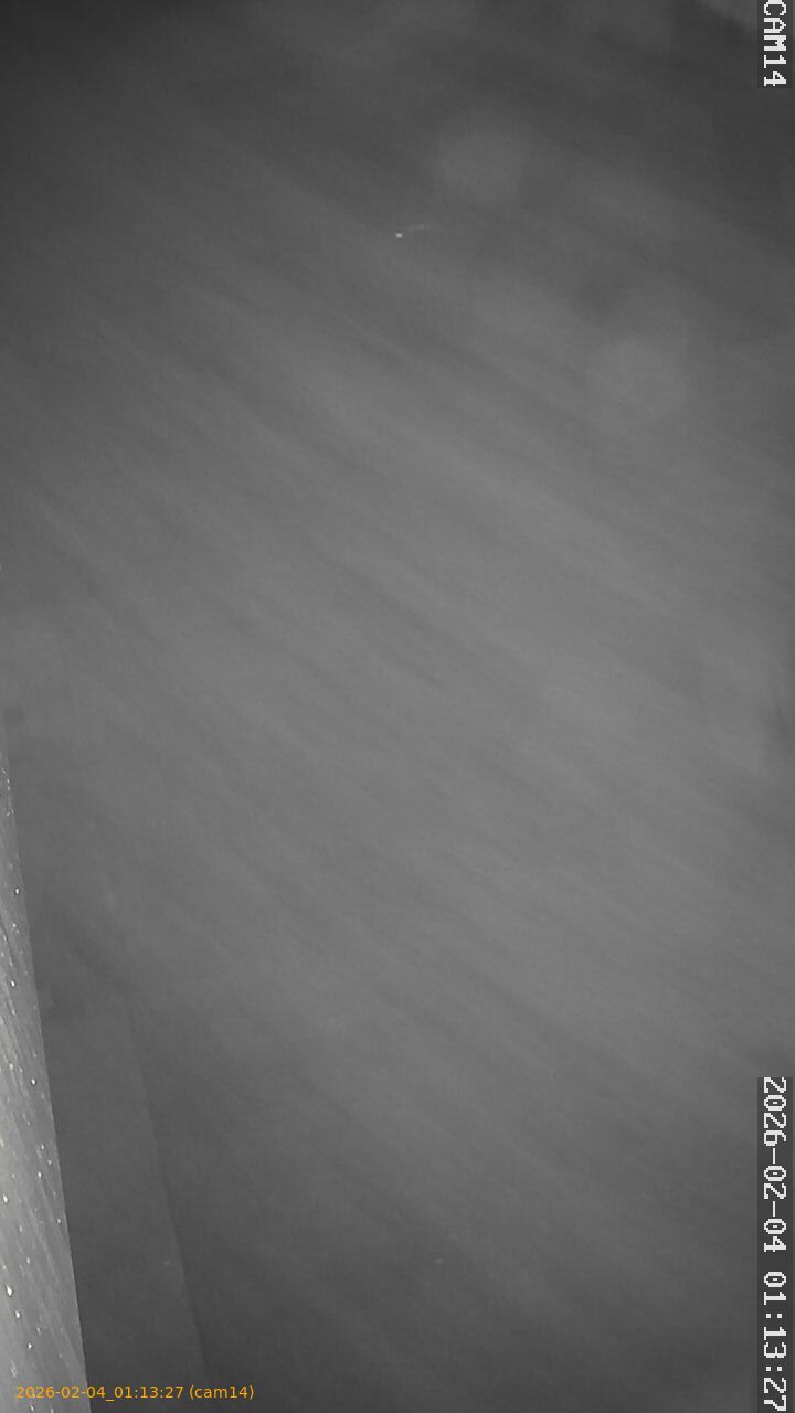 thumbnail_20260204011327