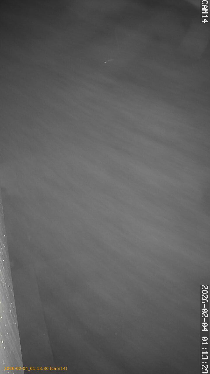 thumbnail_20260204011330