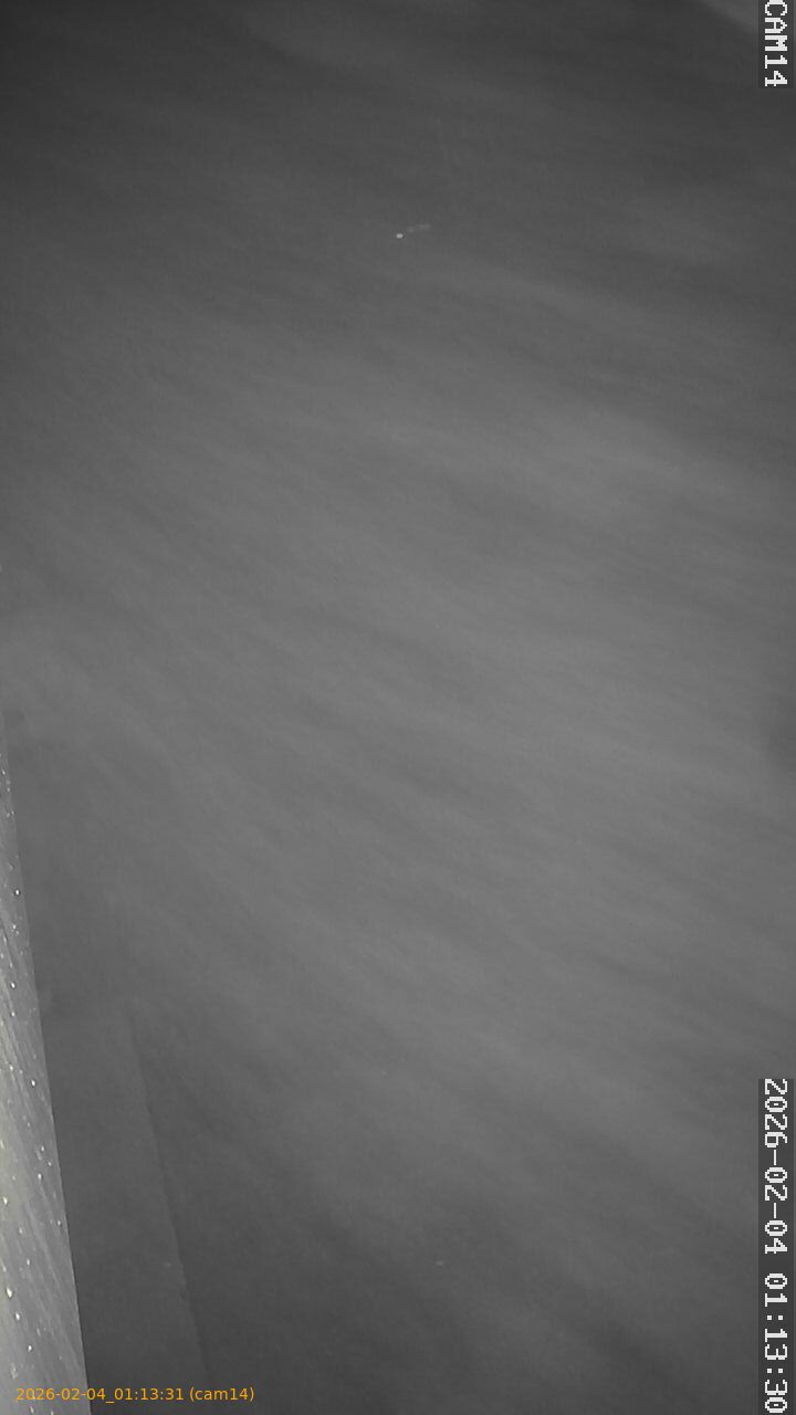 thumbnail_20260204011331