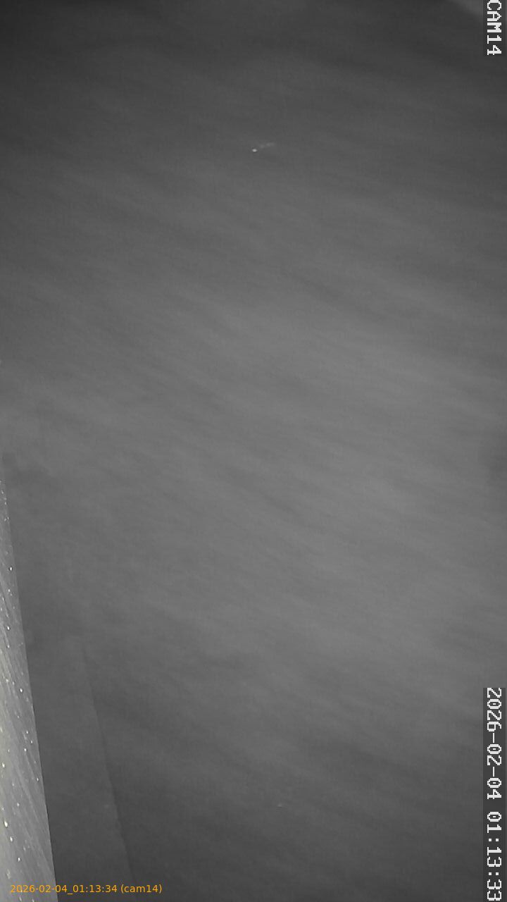 thumbnail_20260204011334