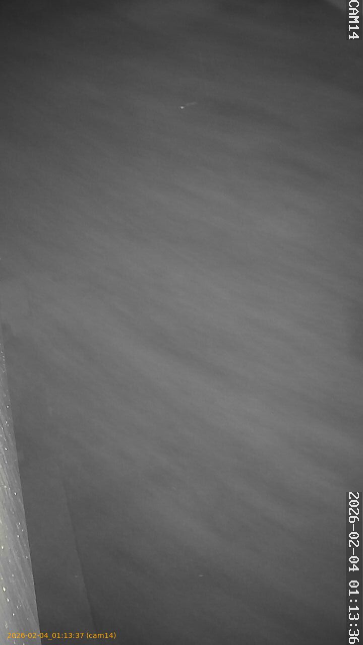 thumbnail_20260204011337