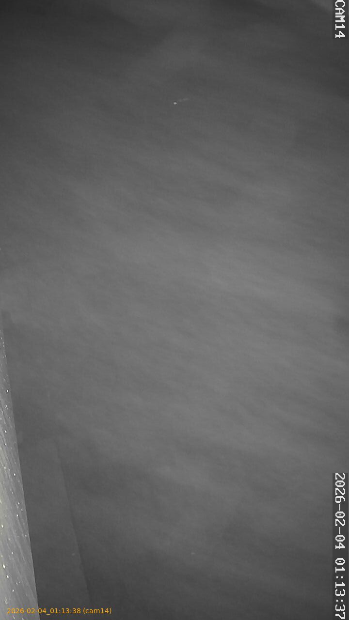 thumbnail_20260204011338