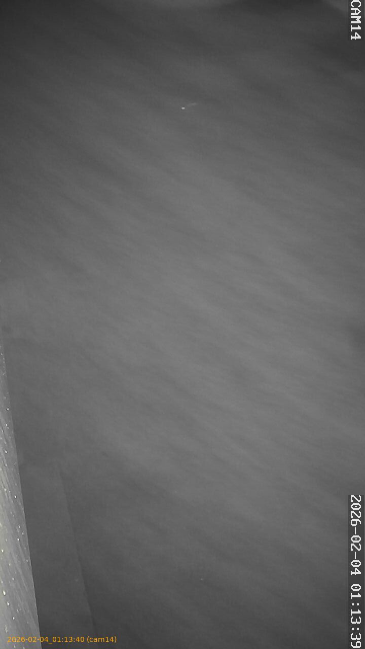 thumbnail_20260204011340