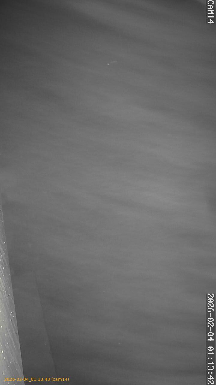 thumbnail_20260204011343