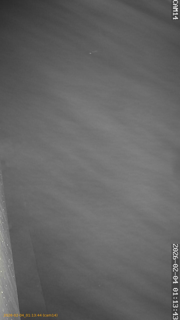 thumbnail_20260204011344