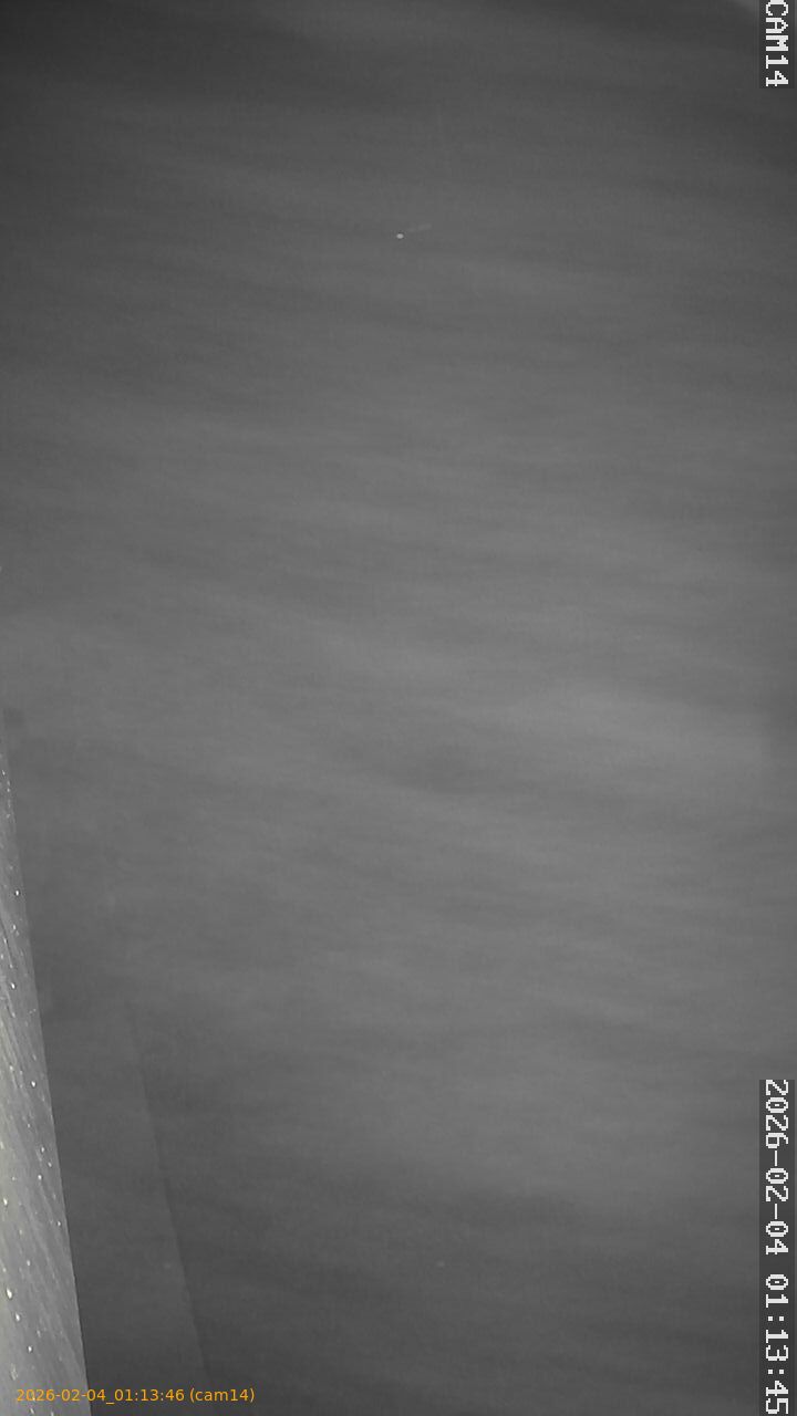 thumbnail_20260204011346