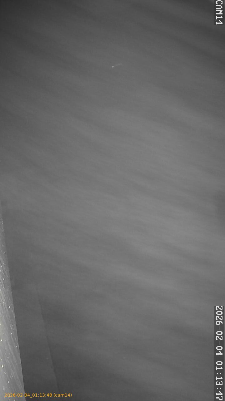 thumbnail_20260204011348