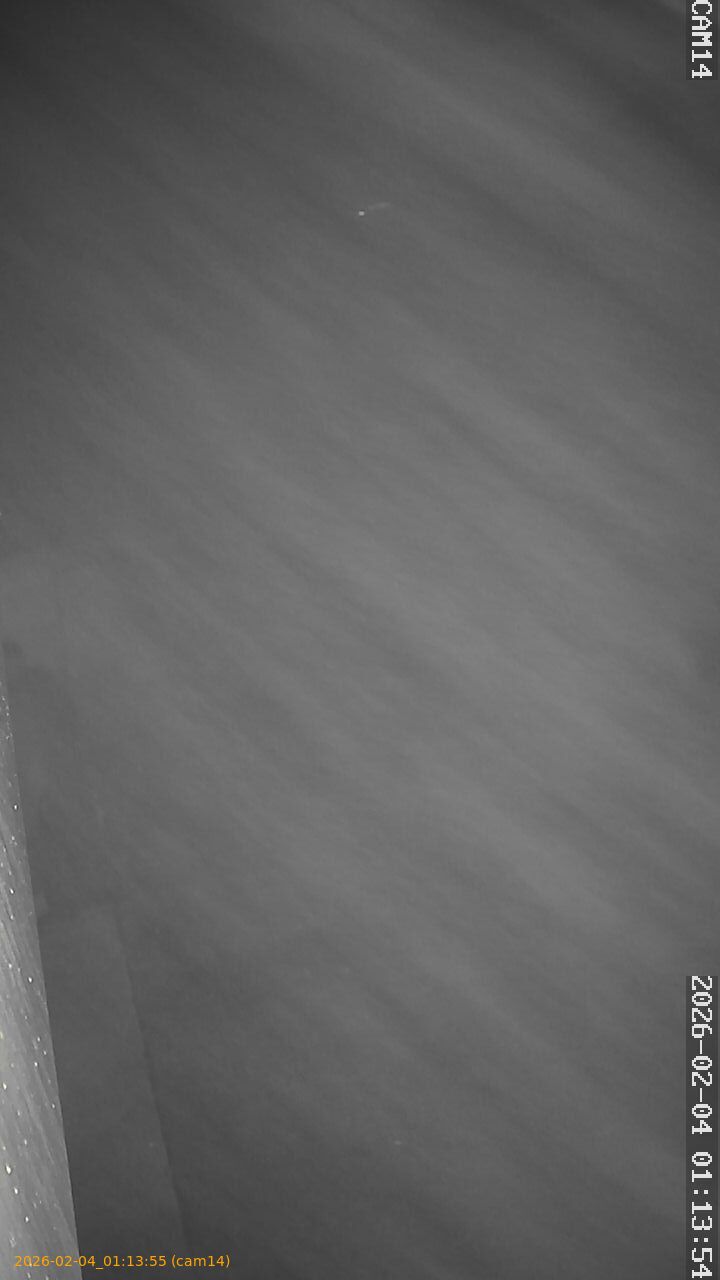 thumbnail_20260204011355