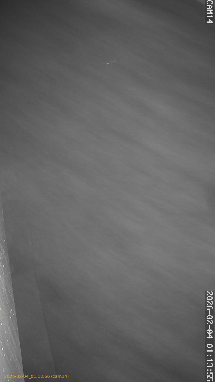 thumbnail_20260204011356