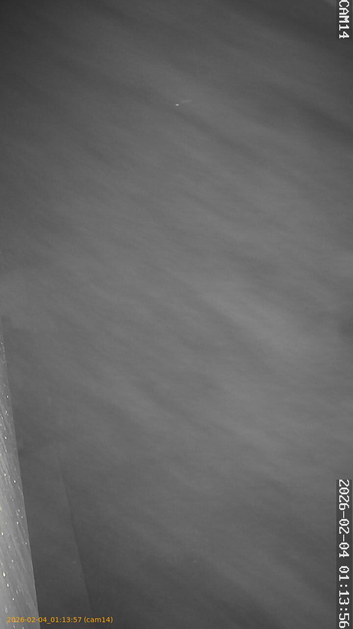 thumbnail_20260204011357