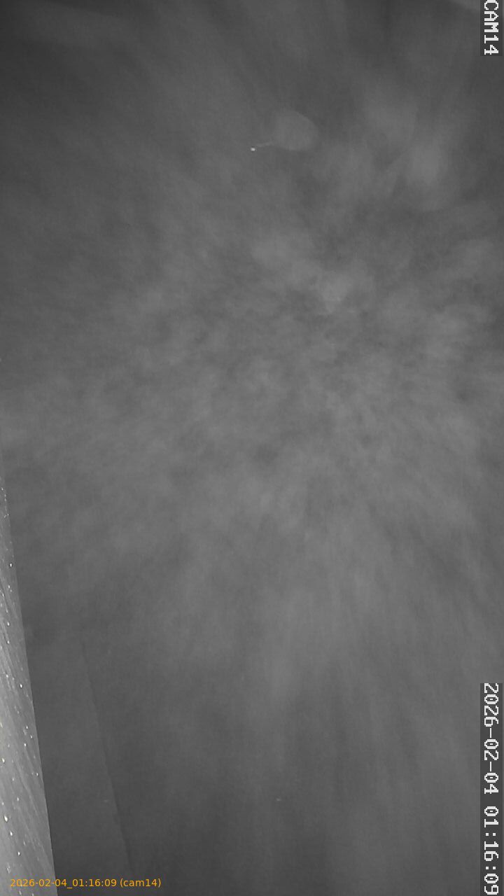 thumbnail_20260204011609