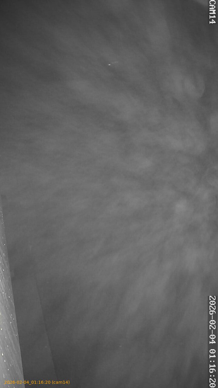 thumbnail_20260204011620