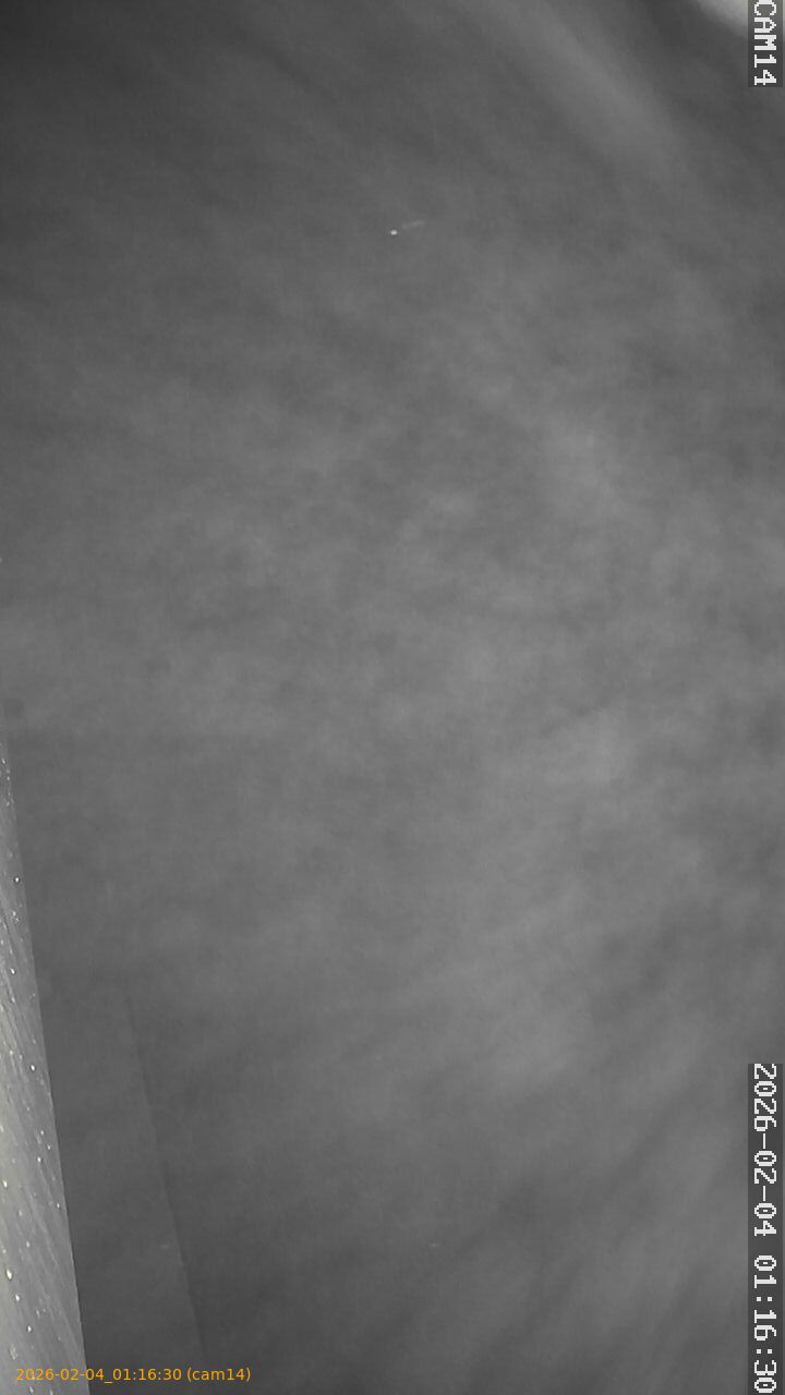 thumbnail_20260204011630