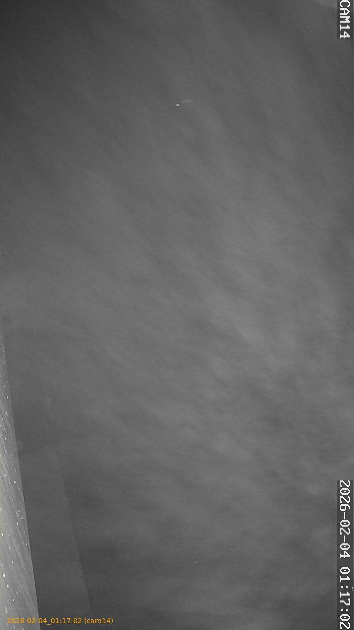 thumbnail_20260204011702