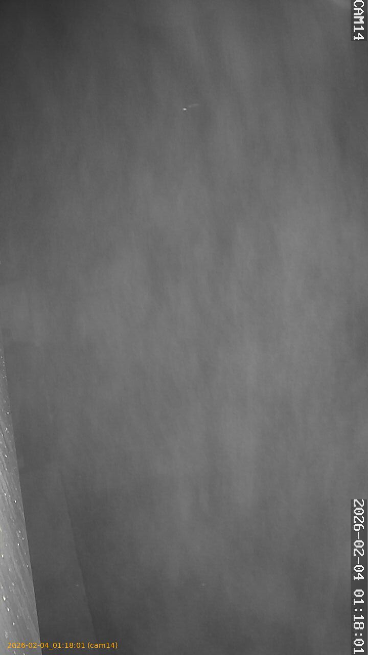 thumbnail_20260204011801