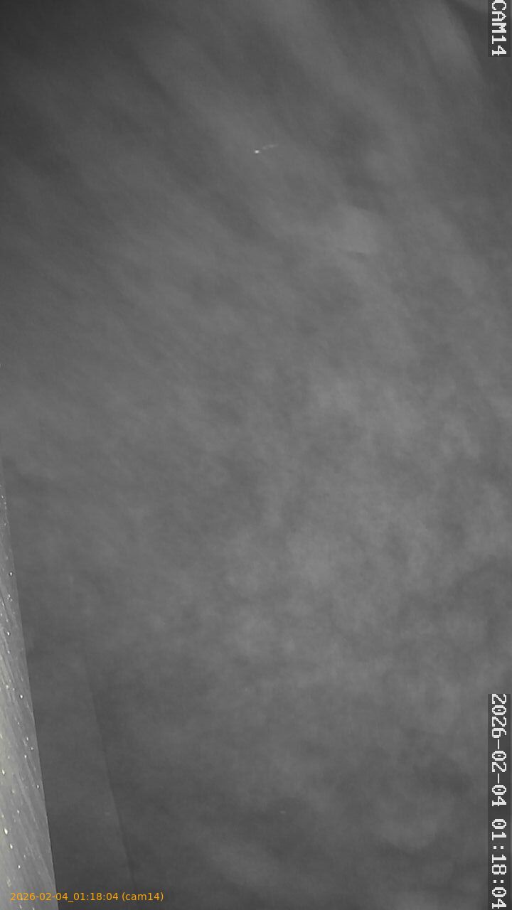 thumbnail_20260204011804