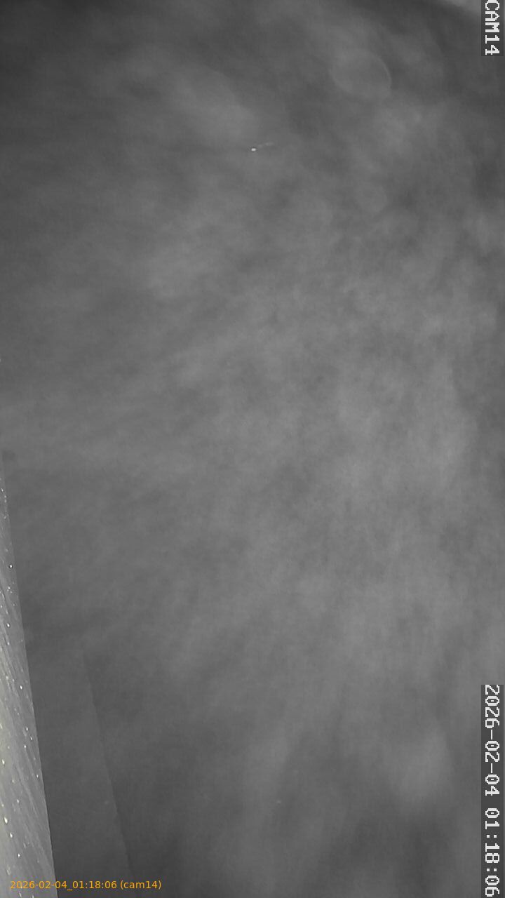 thumbnail_20260204011806