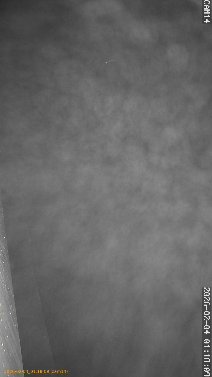 thumbnail_20260204011809