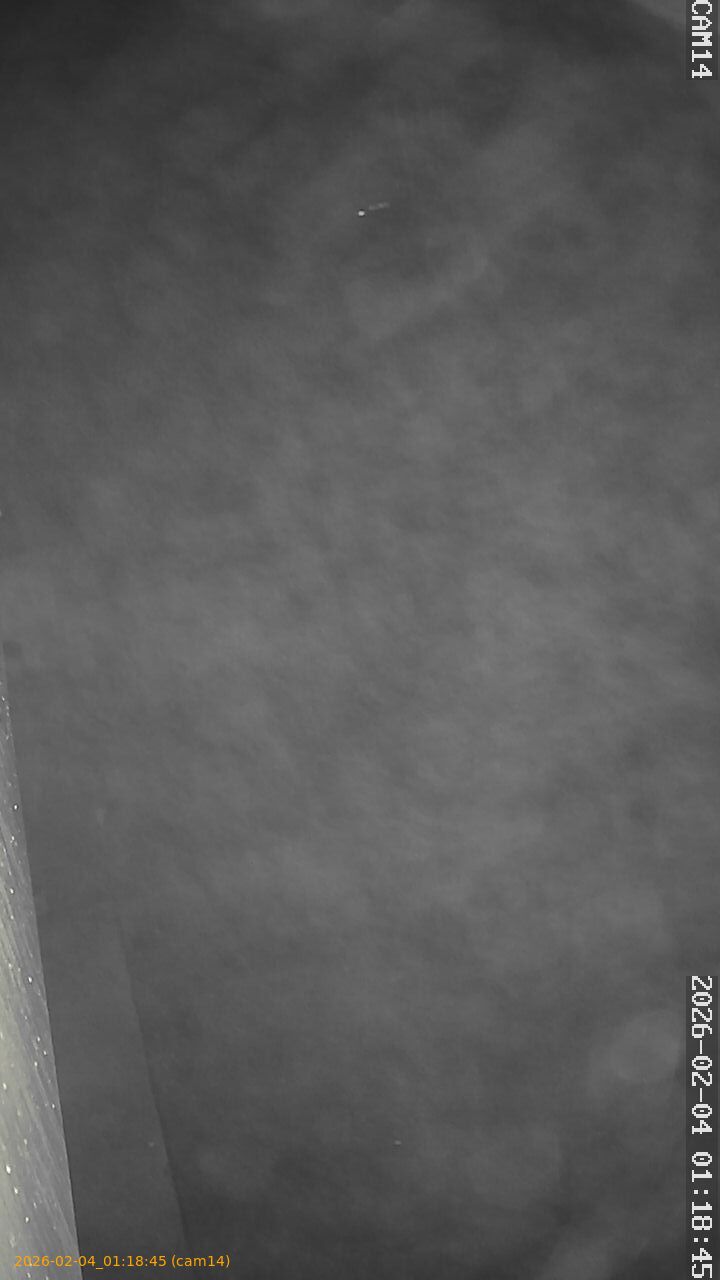 thumbnail_20260204011845