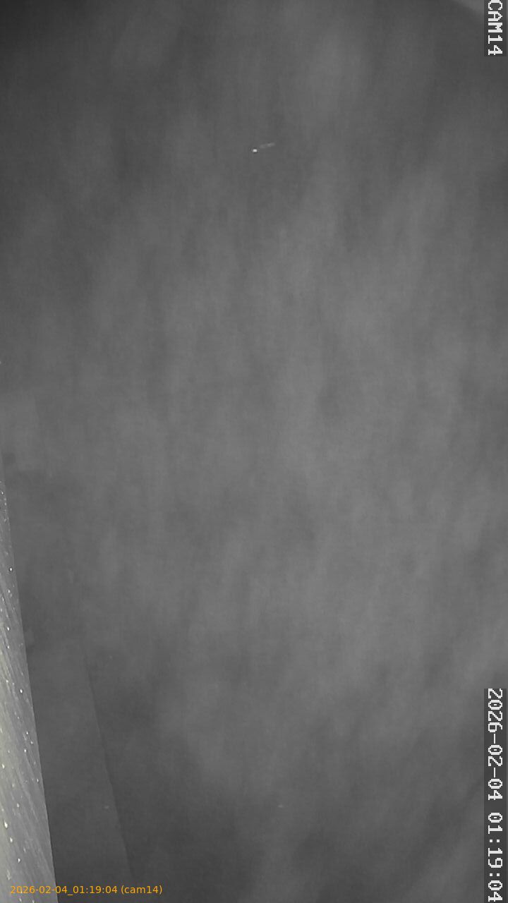 thumbnail_20260204011904