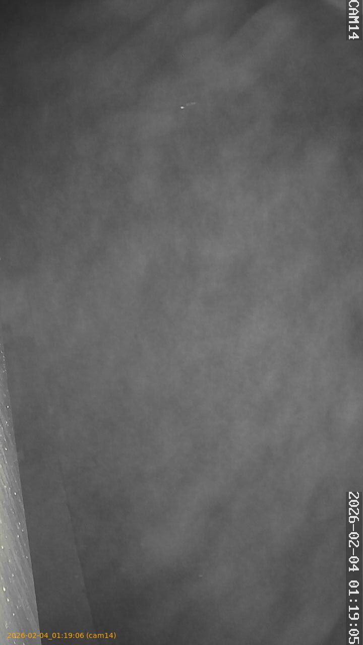 thumbnail_20260204011906