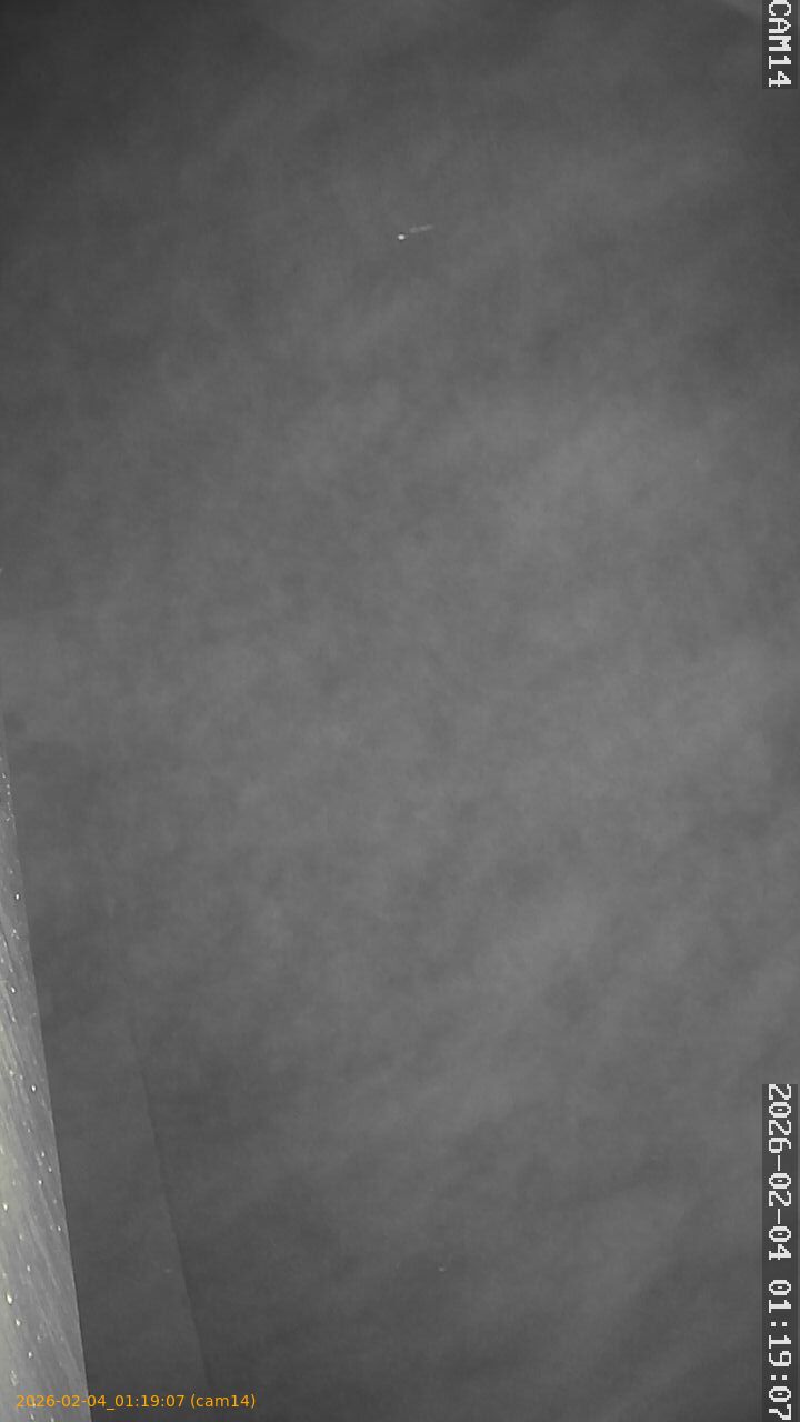 thumbnail_20260204011907