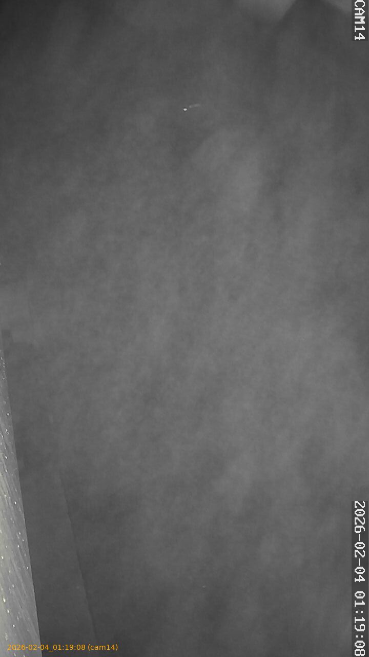 thumbnail_20260204011908