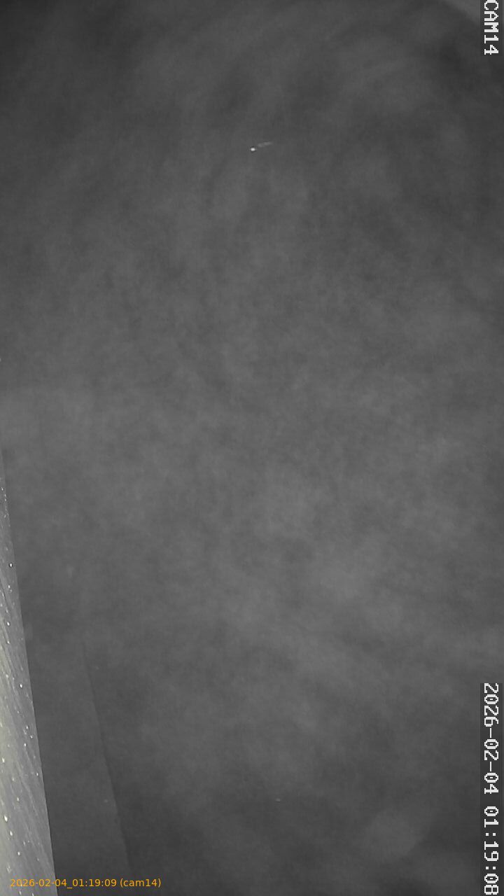 thumbnail_20260204011909