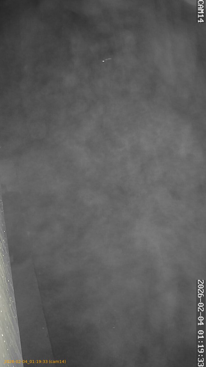 thumbnail_20260204011933