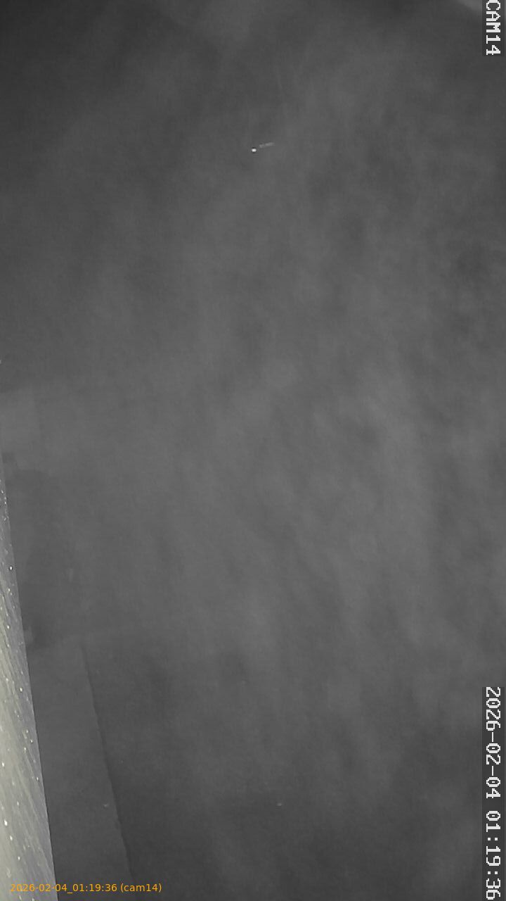 thumbnail_20260204011936