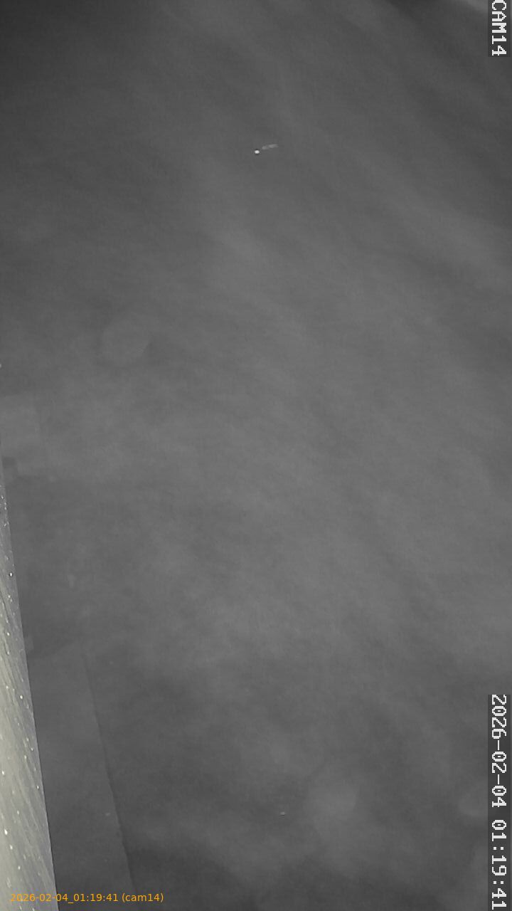 thumbnail_20260204011941