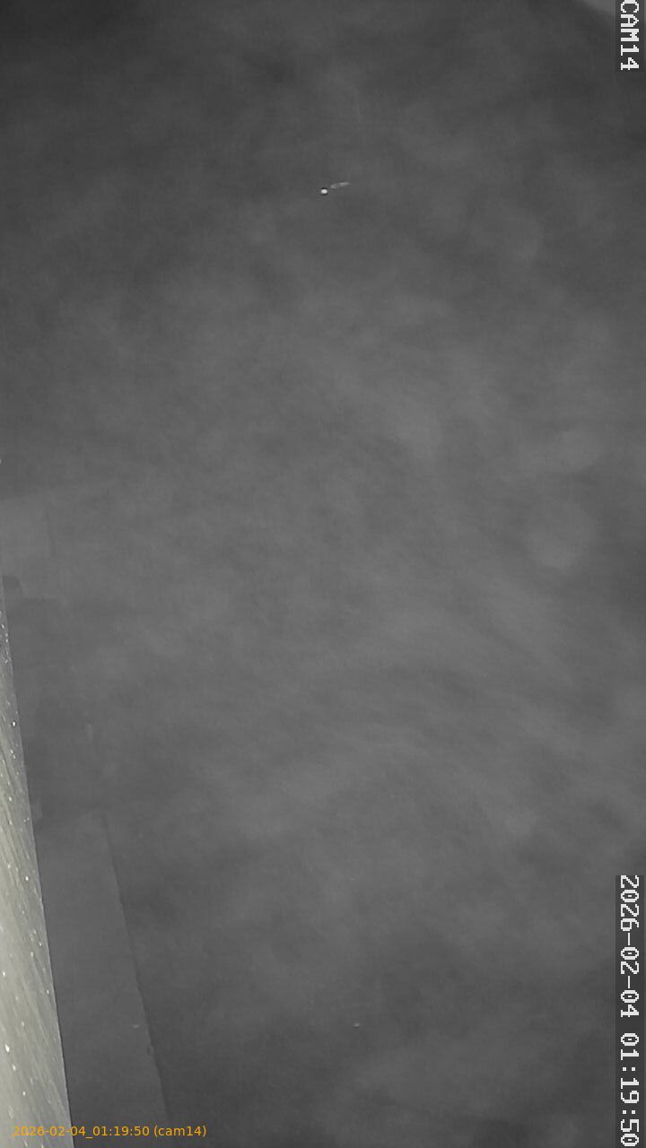 thumbnail_20260204011950