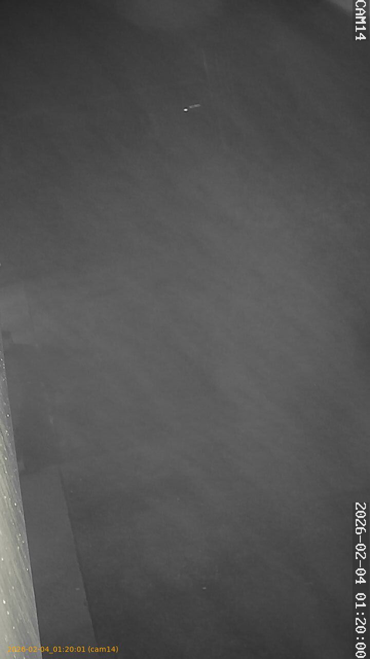 thumbnail_20260204012001