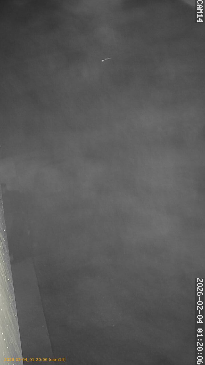 thumbnail_20260204012006