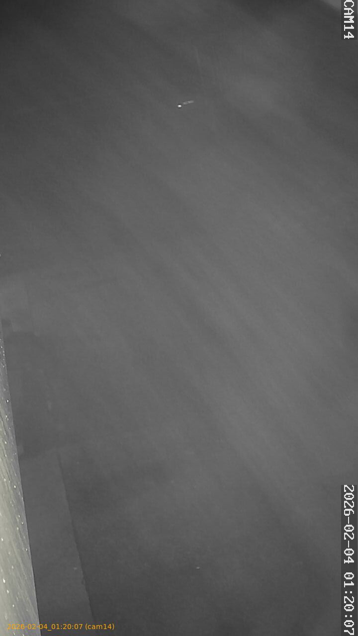 thumbnail_20260204012007