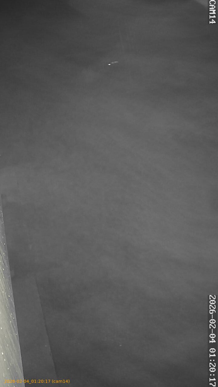 thumbnail_20260204012017