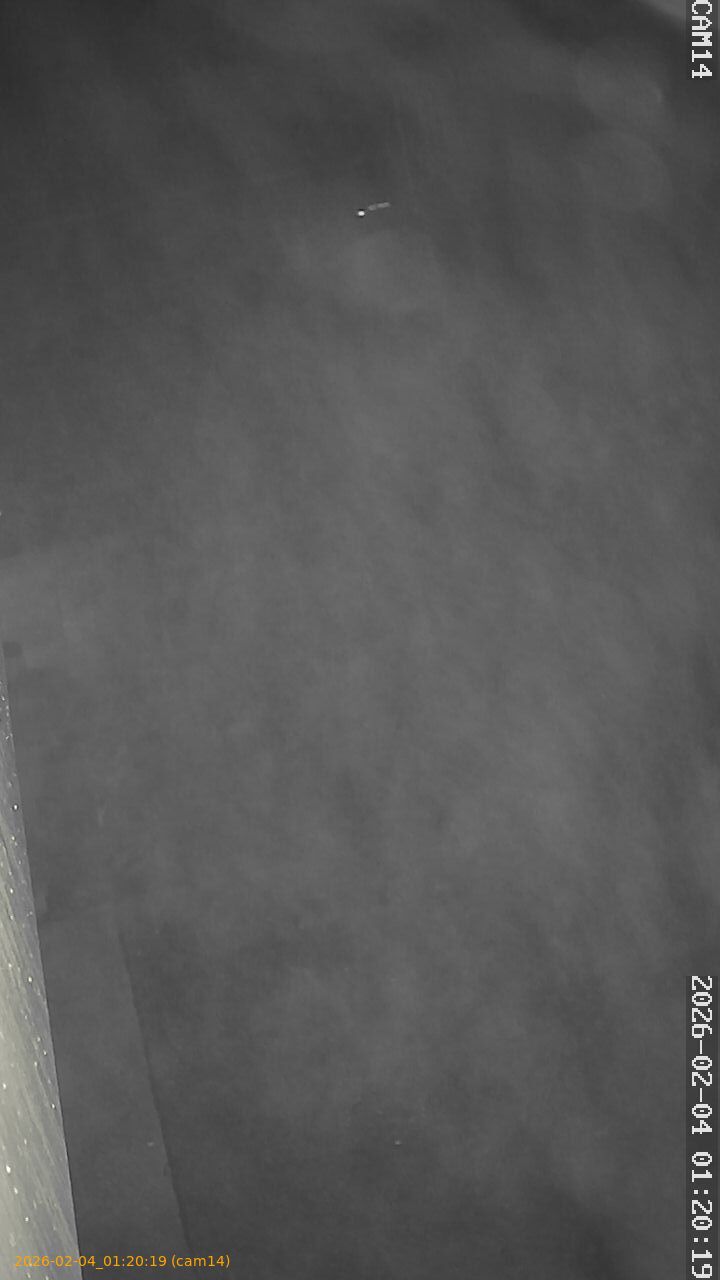 thumbnail_20260204012019