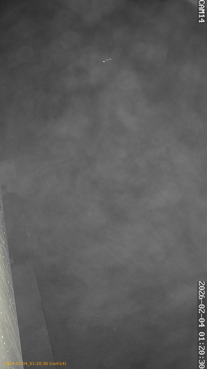 thumbnail_20260204012030