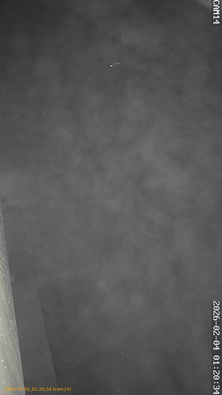 thumbnail_20260204012034