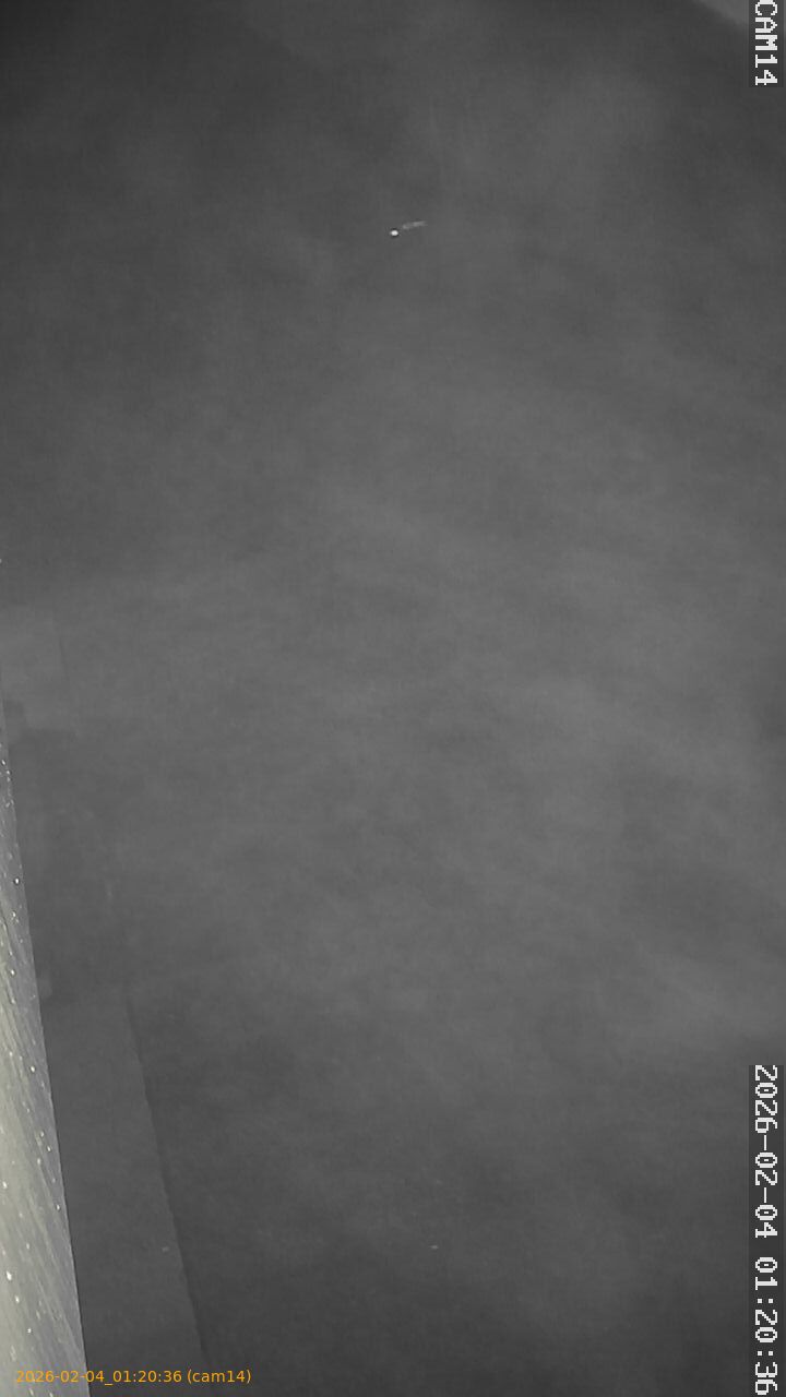 thumbnail_20260204012036