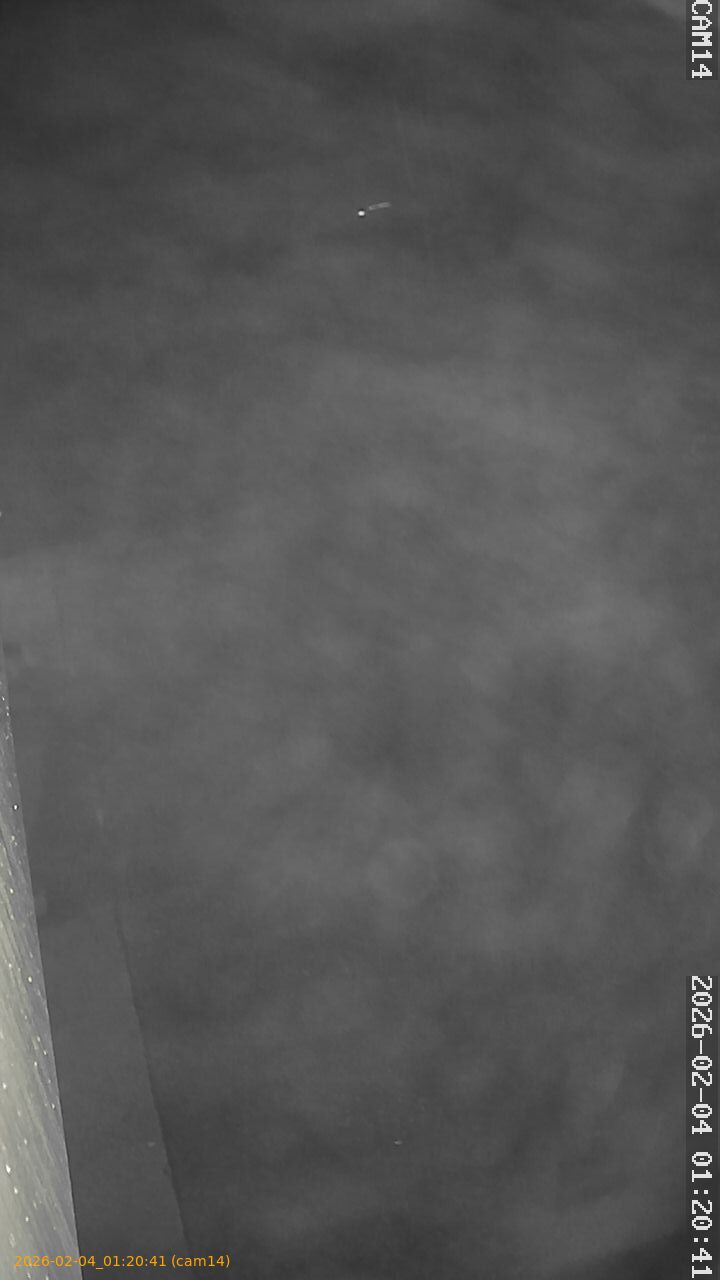 thumbnail_20260204012041